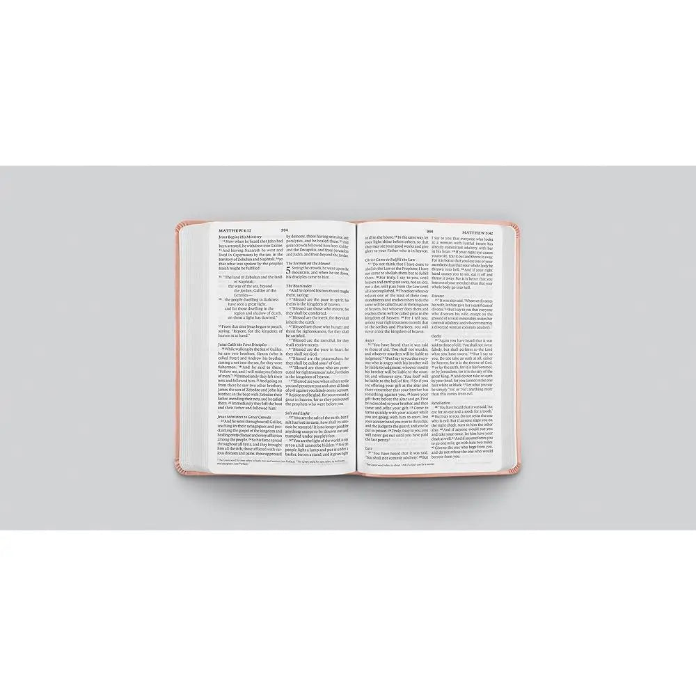 ESV Large Print Value Thinline Bible (TruTone, Pink, Fleur-de-lis Design): Holy Bible, English Standard Version